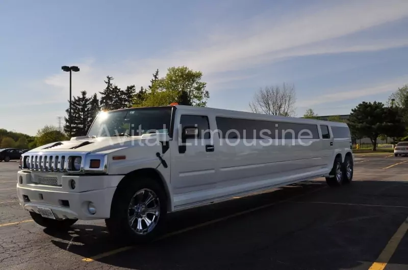 Shuttle Bus